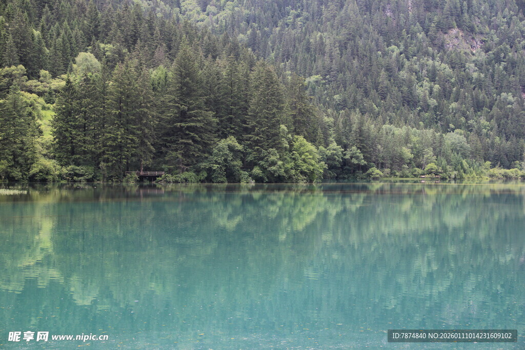 翠绿山林环绕的澄澈湖水
