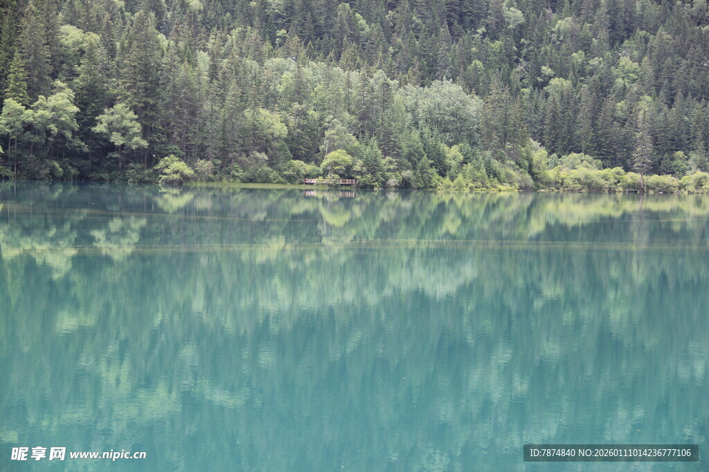 清澈湖水映葱郁山林