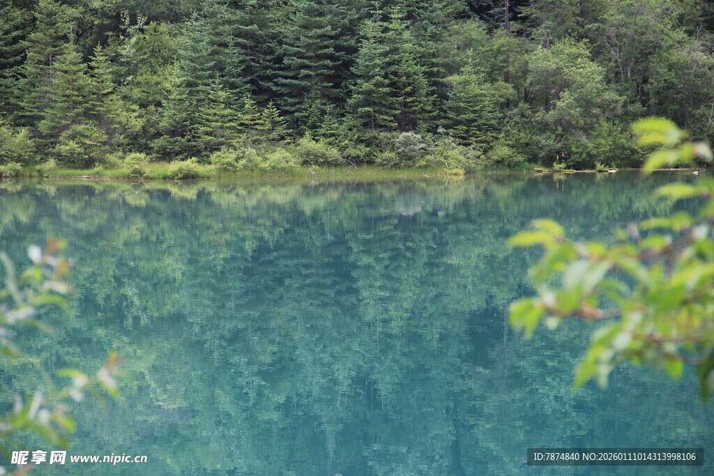 幽美清澈的森林湖泊