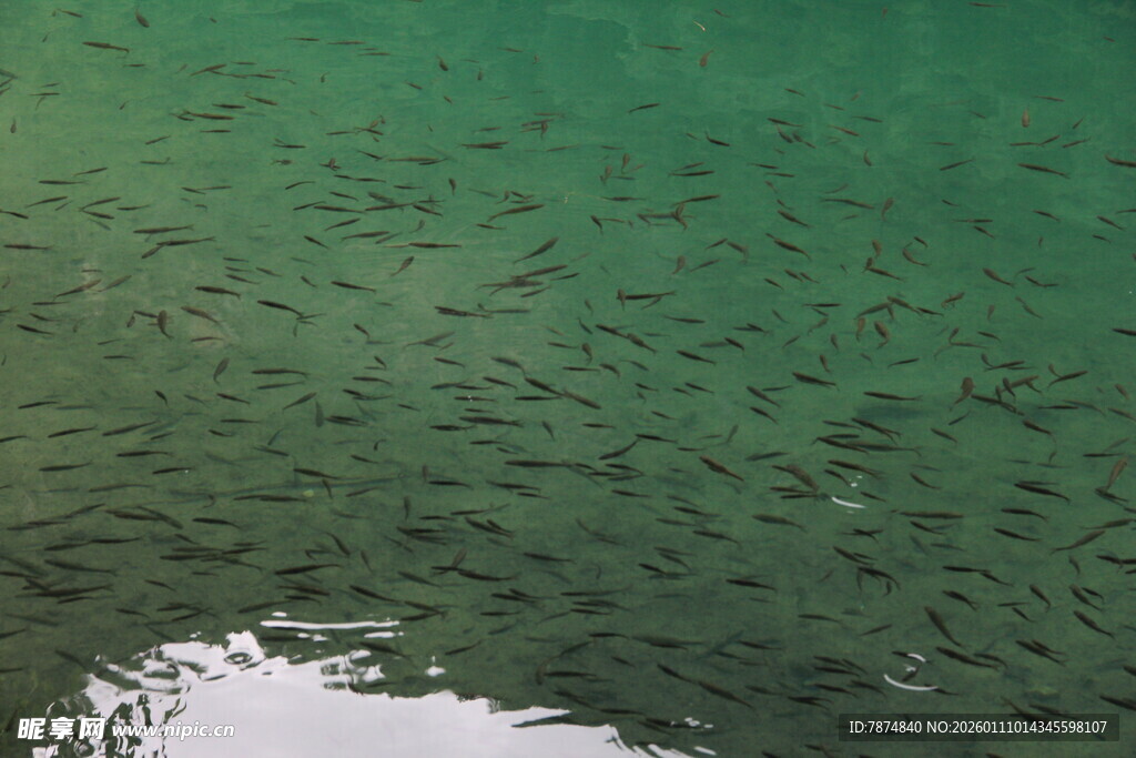清澈碧绿的水面景象