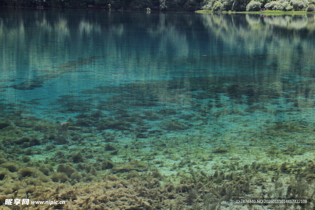 清澈见底的幽蓝湖水