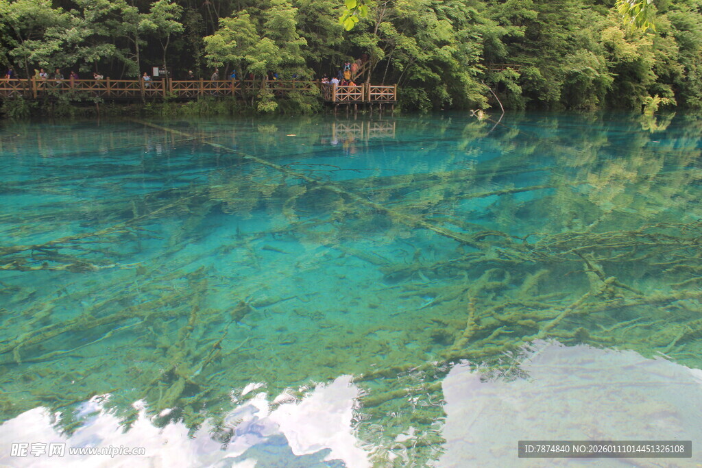 清澈幽蓝的自然潭水景观
