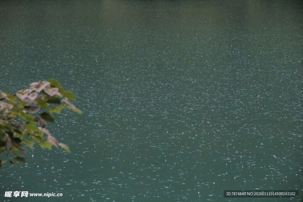 湖畔绿植 静谧湖水景致