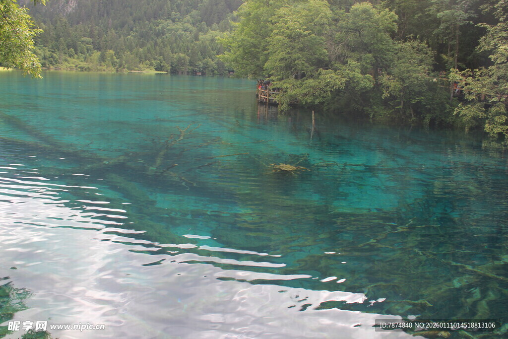 清澈碧绿的山间幽美水域