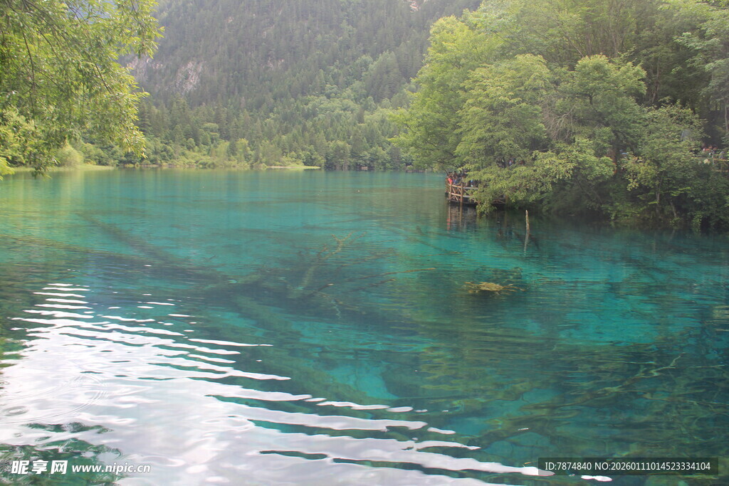 清澈碧绿的山林间幽美湖水
