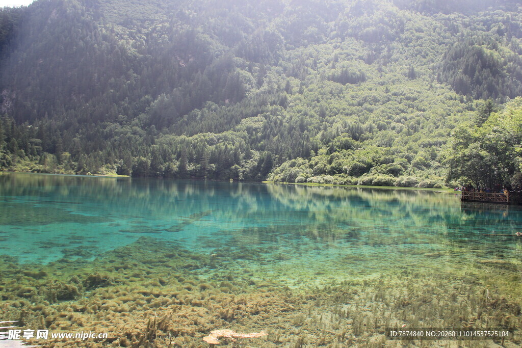 梦幻碧绿湖水山林美景