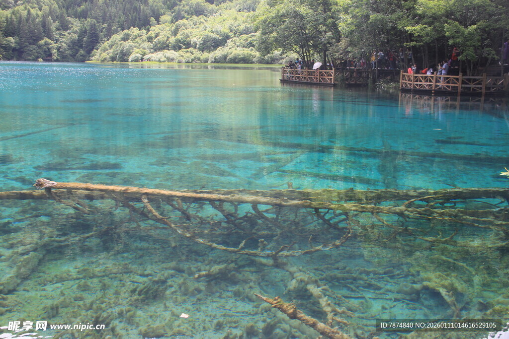 清澈幽蓝的美丽湖水景观