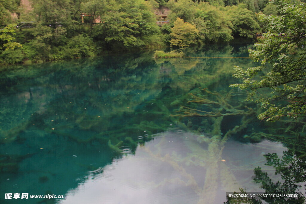 清澈幽蓝的森林湖泊