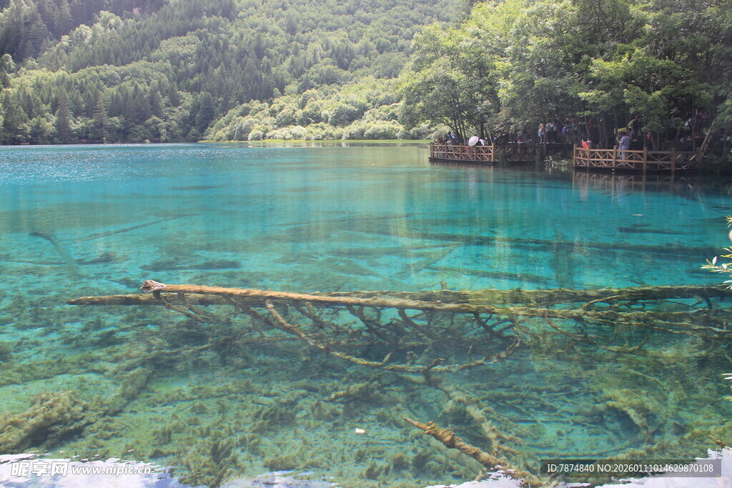清澈碧绿的美丽湖景