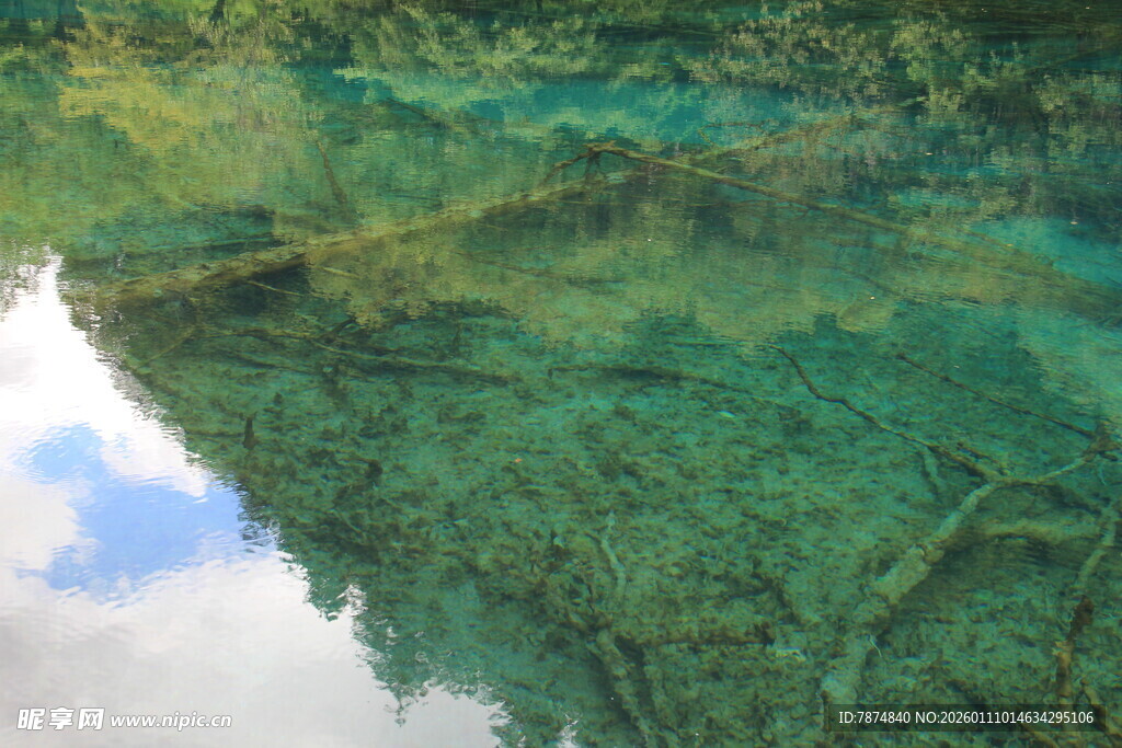 清澈水底世界的奇幻景象