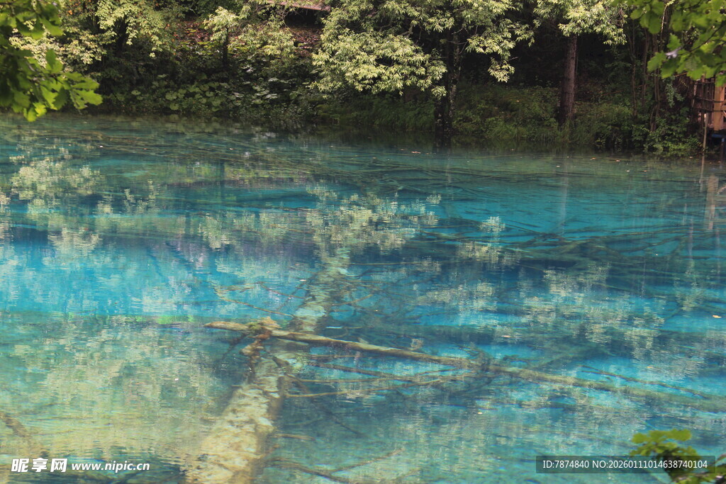 清澈见底的森林幽蓝湖水