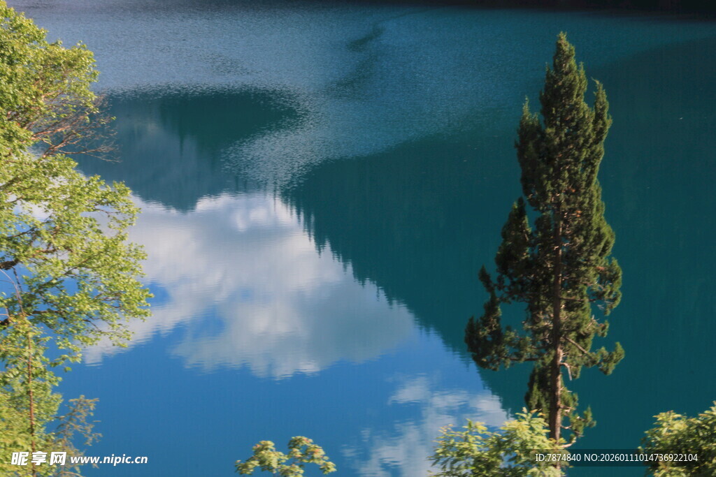 湖畔绿树映蓝天美景