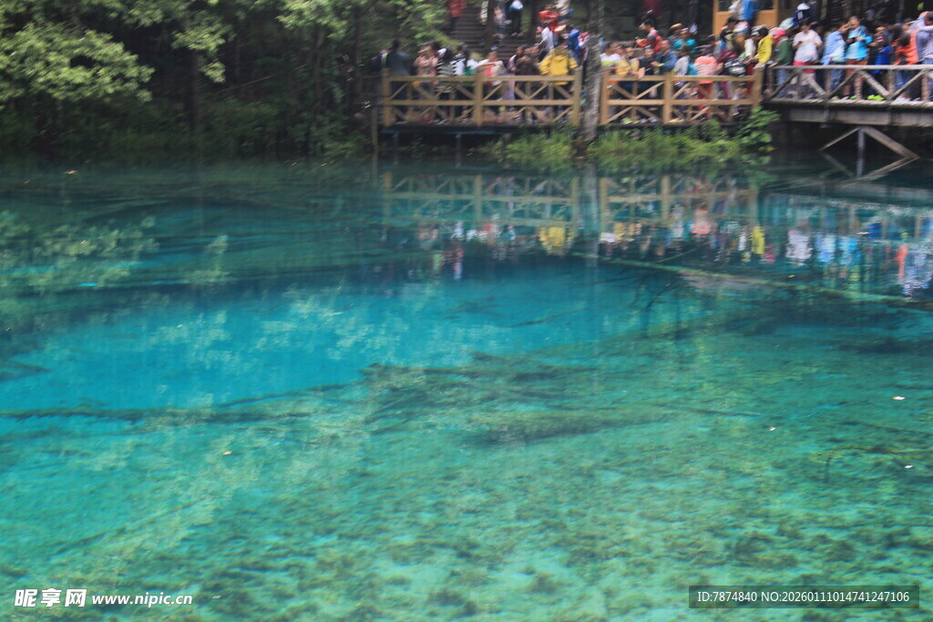 清澈湖水旁的观景人群