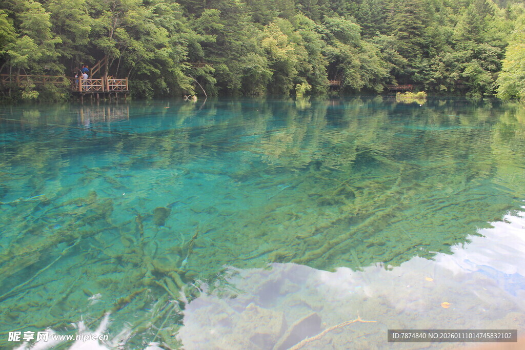 清澈碧绿的山林湖泊美景