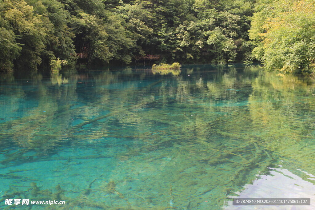 清澈碧绿的自然湖泊美景