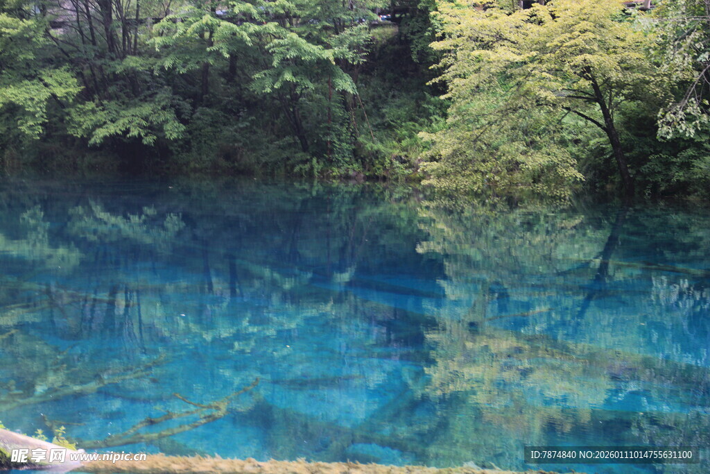 清澈蓝湖映山林