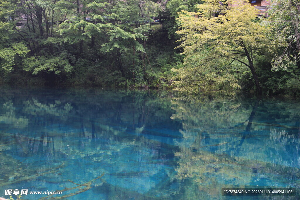 清澈蓝湖映绿树