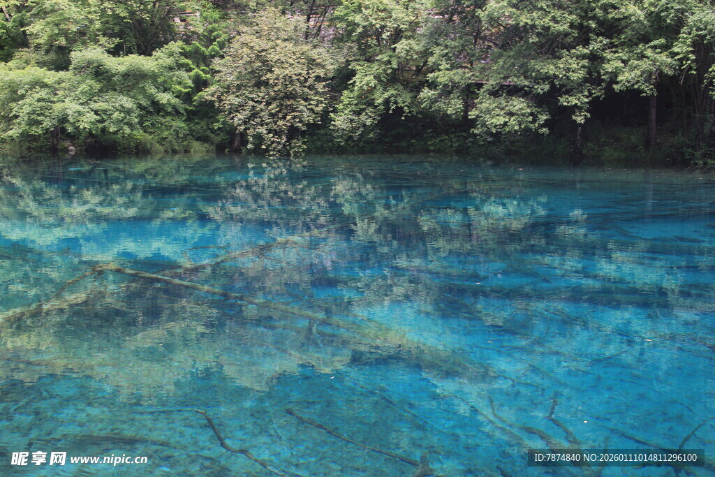 清澈蓝湖与岸边葱郁植被