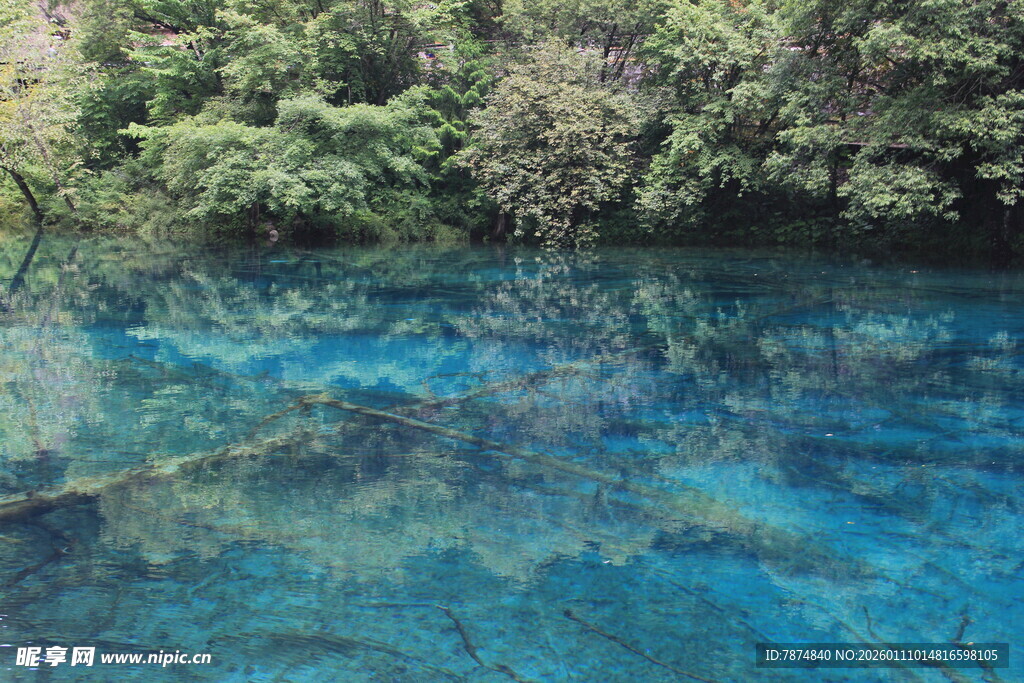 清澈蓝湖与岸边葱郁植被