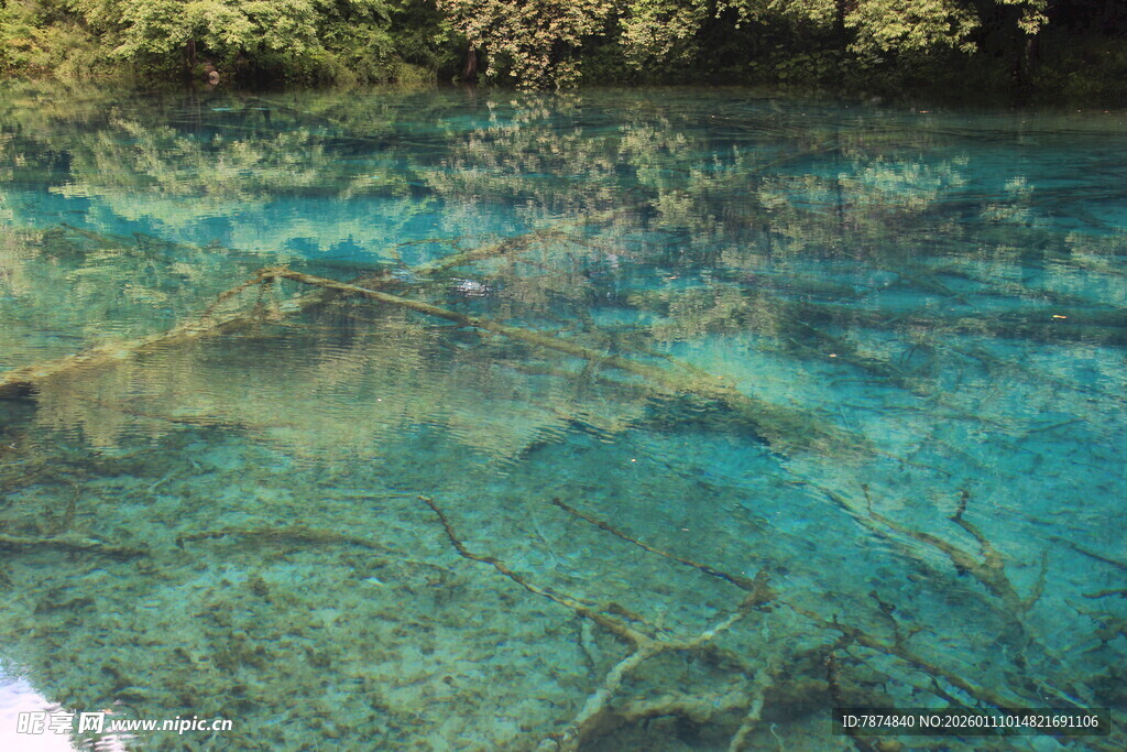 清澈见底的碧蓝水下世界