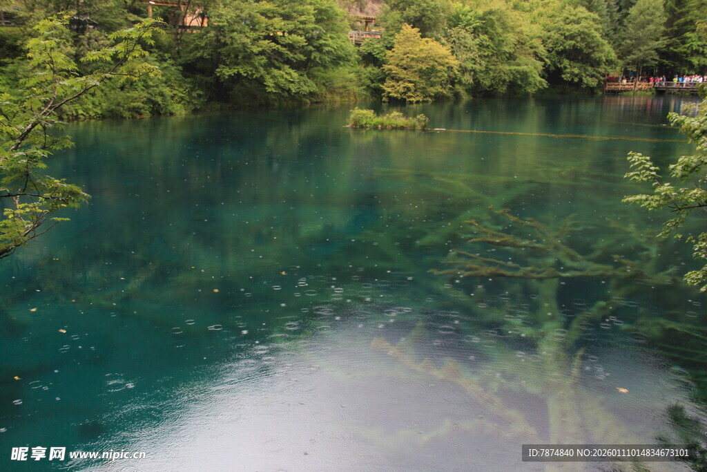 清澈碧绿的静谧湖水景观