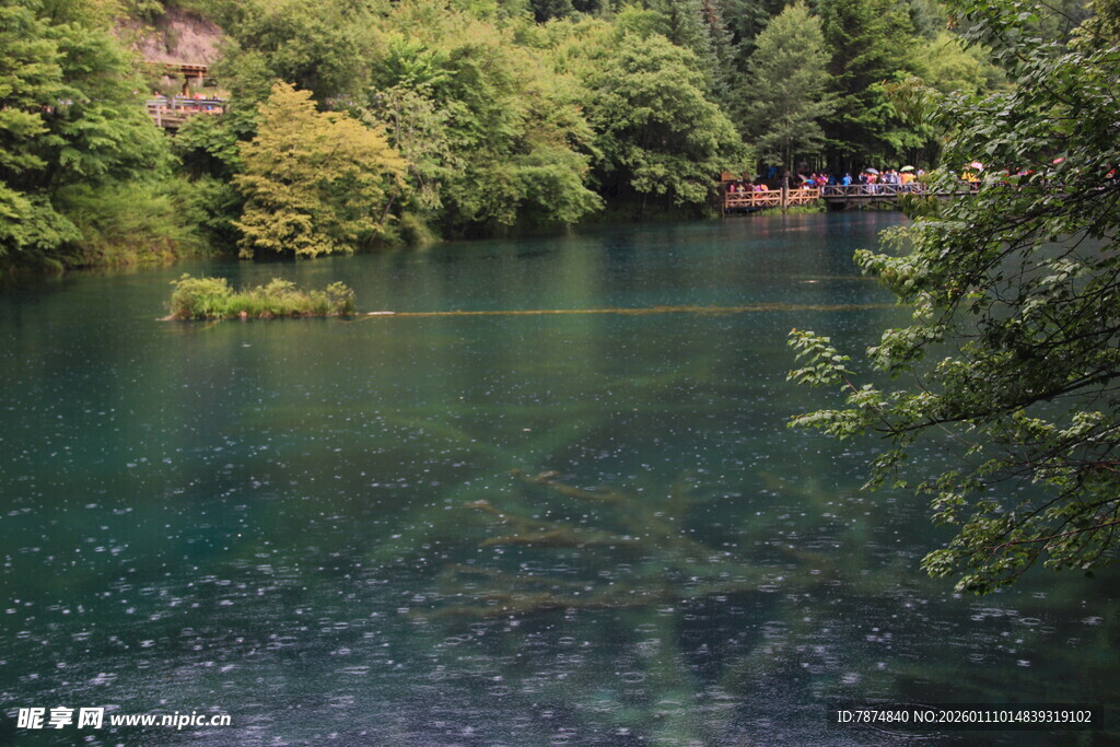 清幽山林中的澄澈湖水