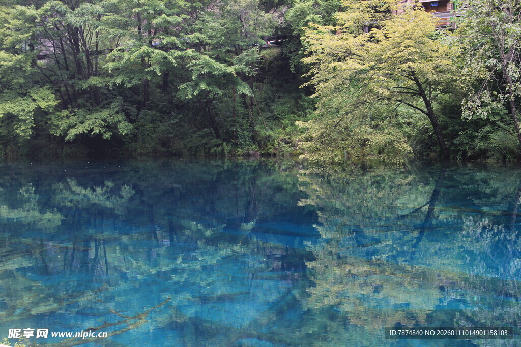 清澈蓝湖旁的葱郁山林
