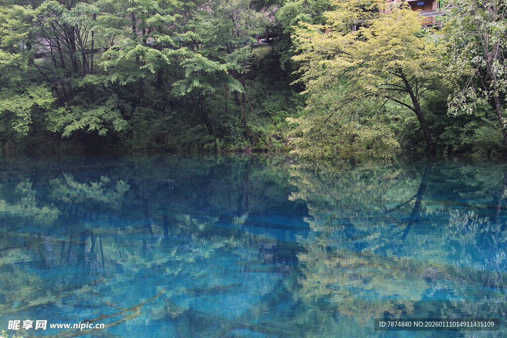 清澈蓝湖与岸边葱郁植被