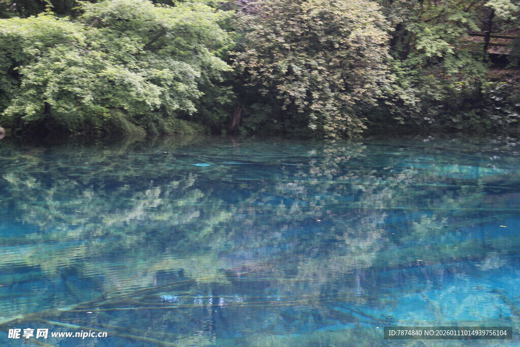 清澈蓝湖与岸边葱郁植被