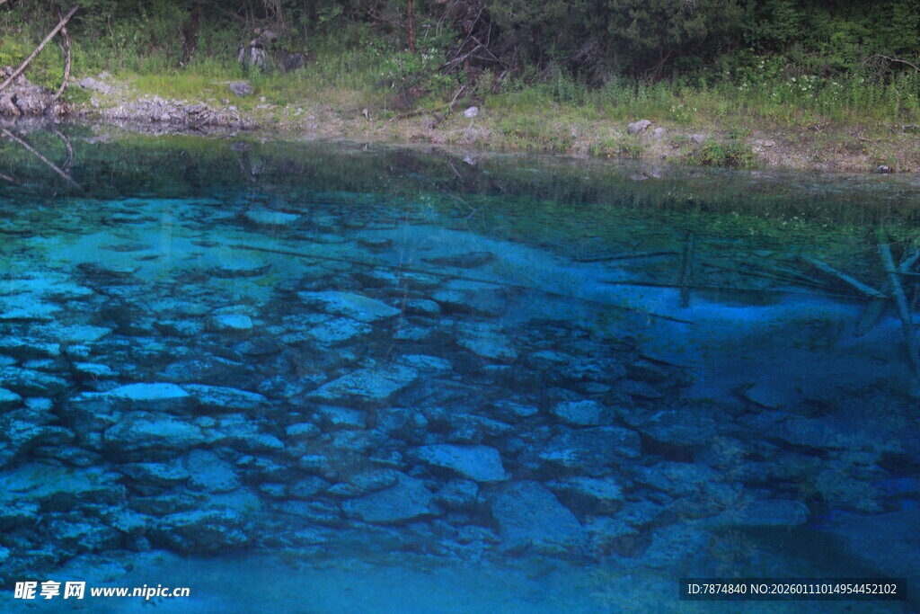 清澈蓝水下的斑斓鱼群