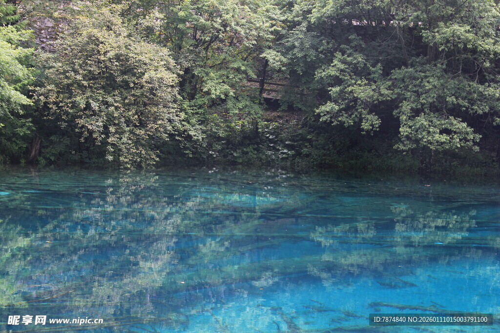 清澈蓝湖与葱郁植被景观