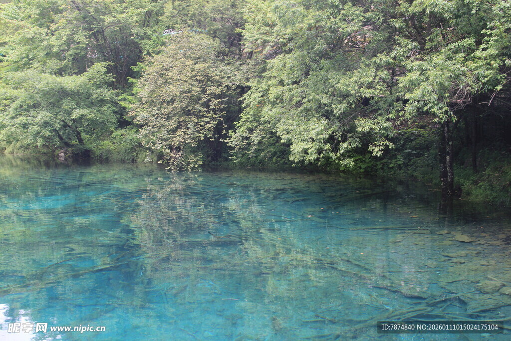 清澈蓝湖与葱郁树林美景