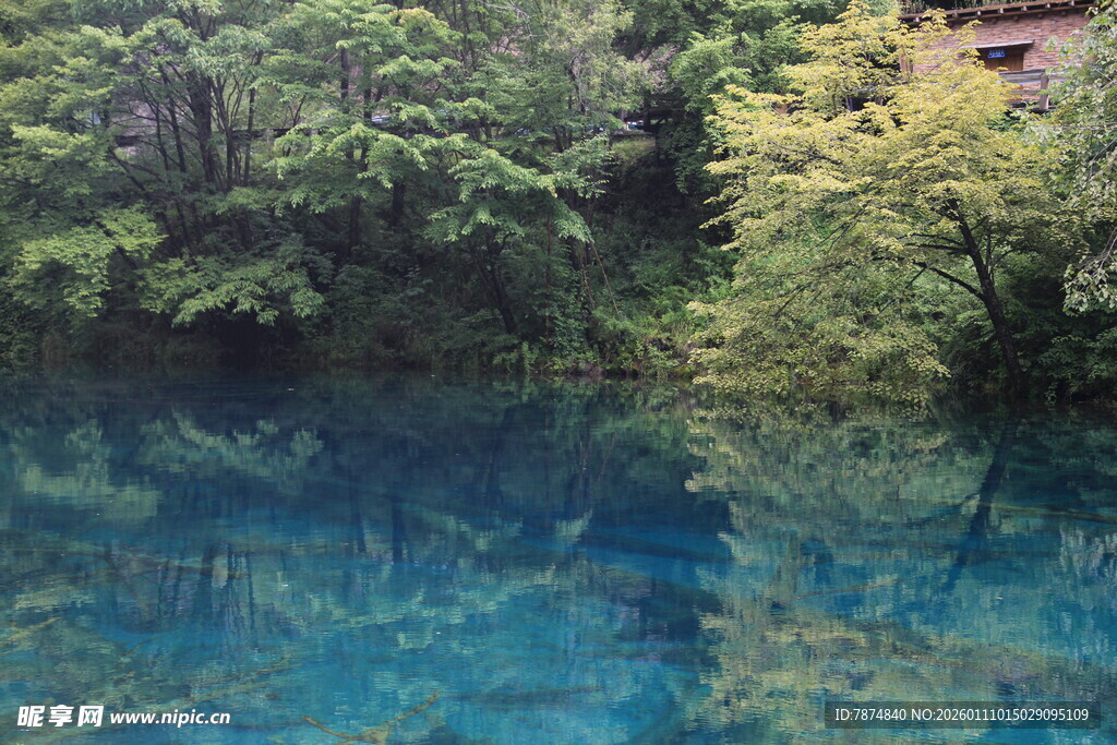 清澈蓝湖映葱郁山林