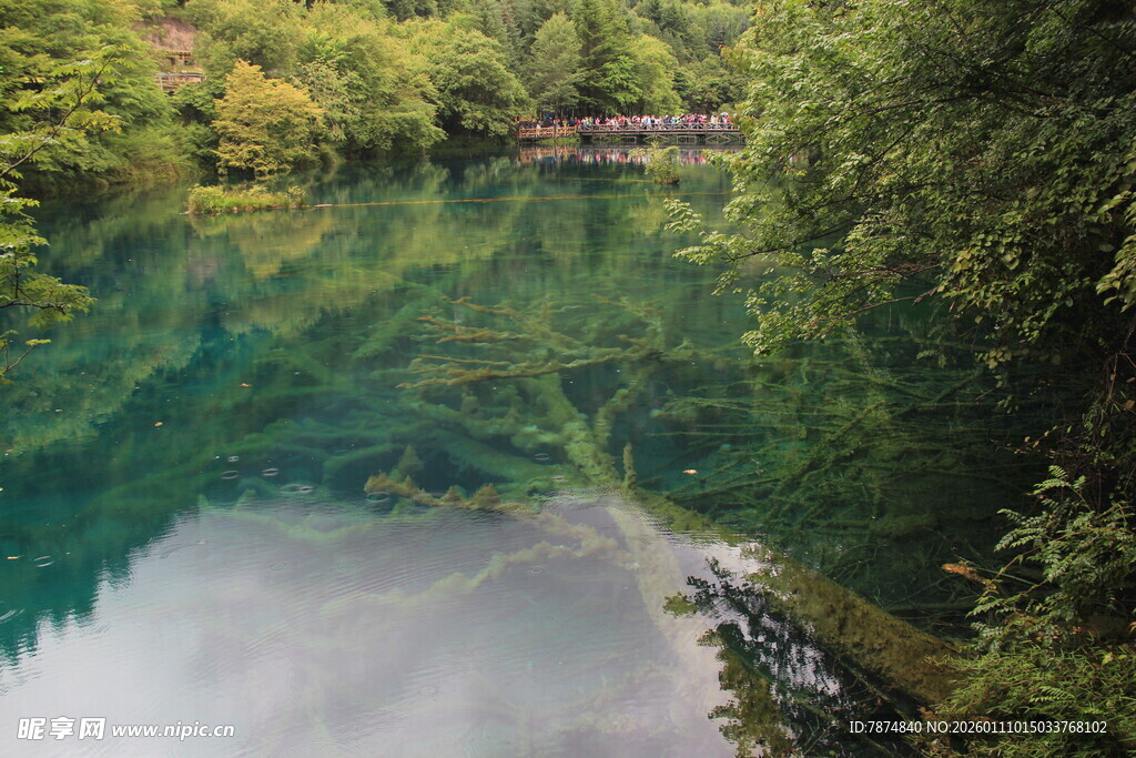 翠绿山林间的澄澈湖水