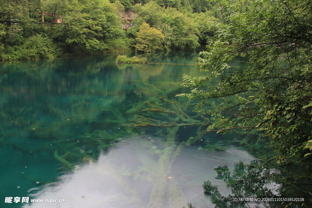 翠绿山林间的幽蓝湖水