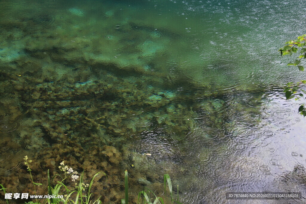 清澈水底的自然景致