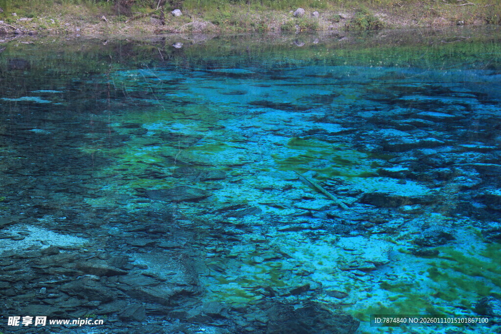 清澈见底的幽蓝水底世界