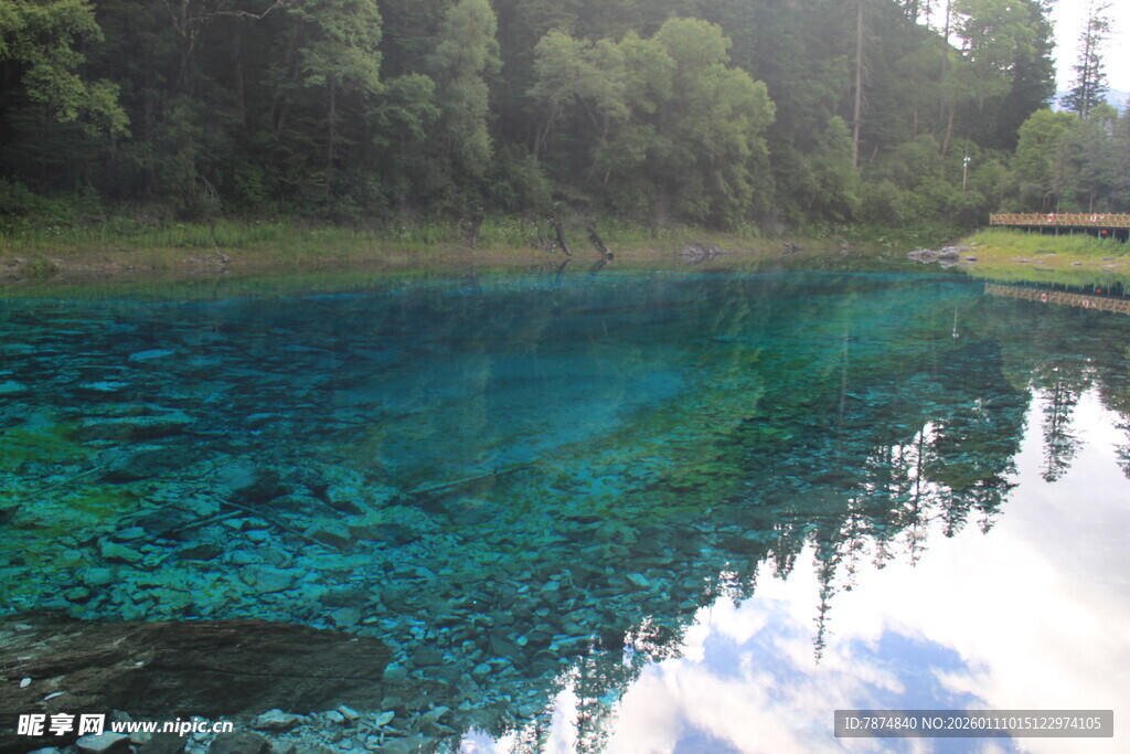 清澈蓝绿色湖水与森林美景