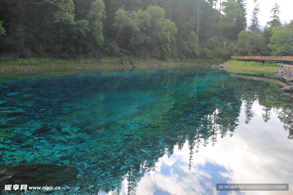 清澈蓝湖与岸边葱郁树林