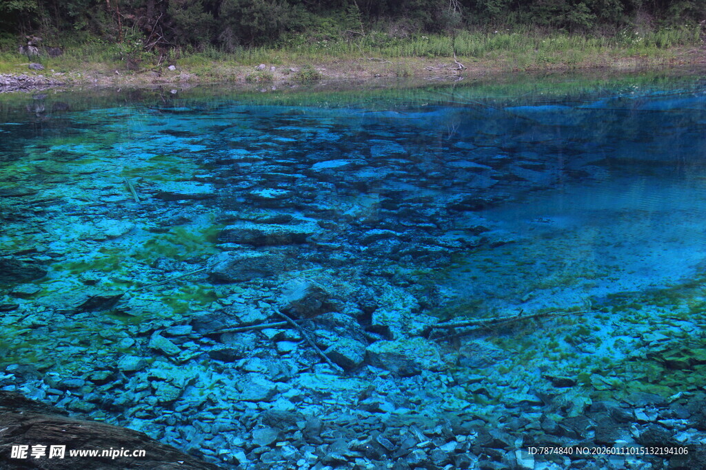 清澈蓝湖展现水底美景