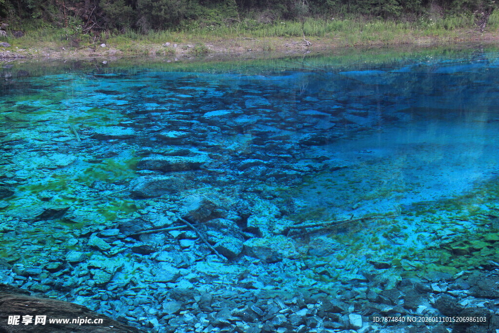 清澈蓝湖 水底景致迷人