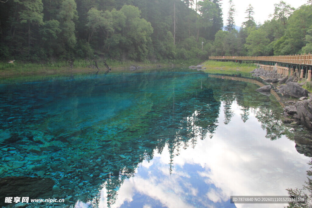 清澈蓝湖映山林美景