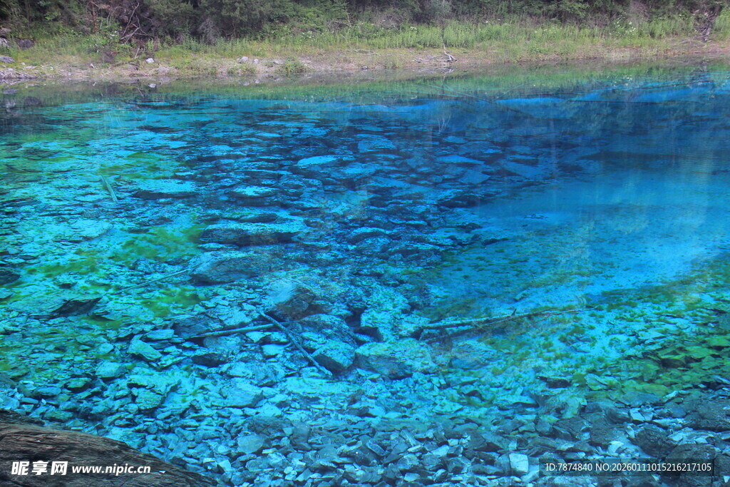 清澈蓝湖 水底景致迷人