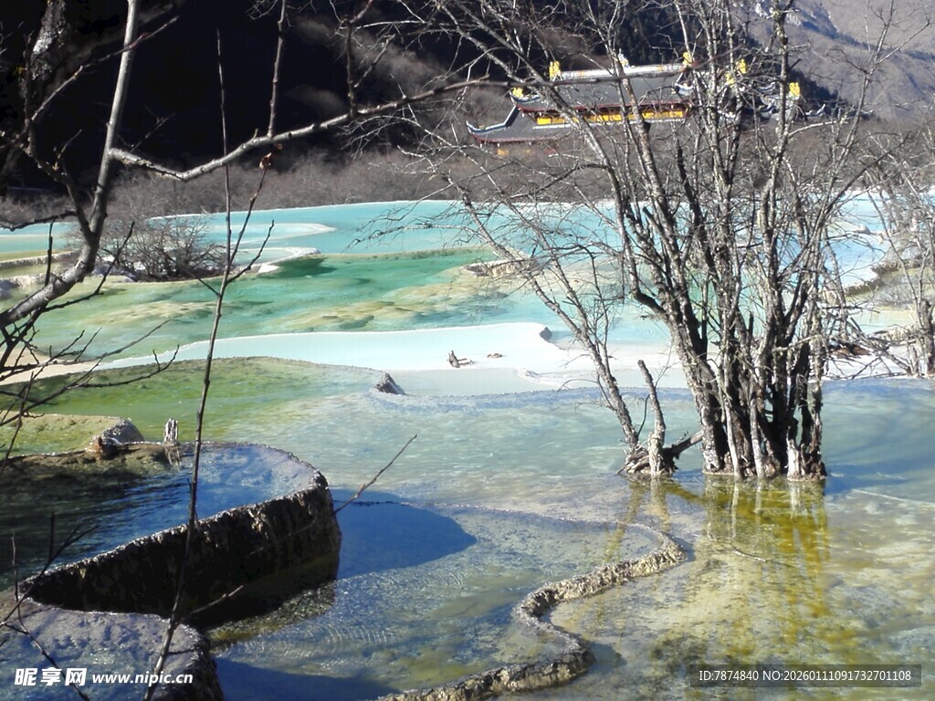 冬日多彩湖泊枯树景观
