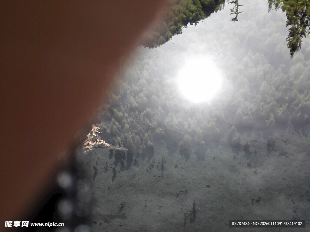 透过缝隙看户外自然景象