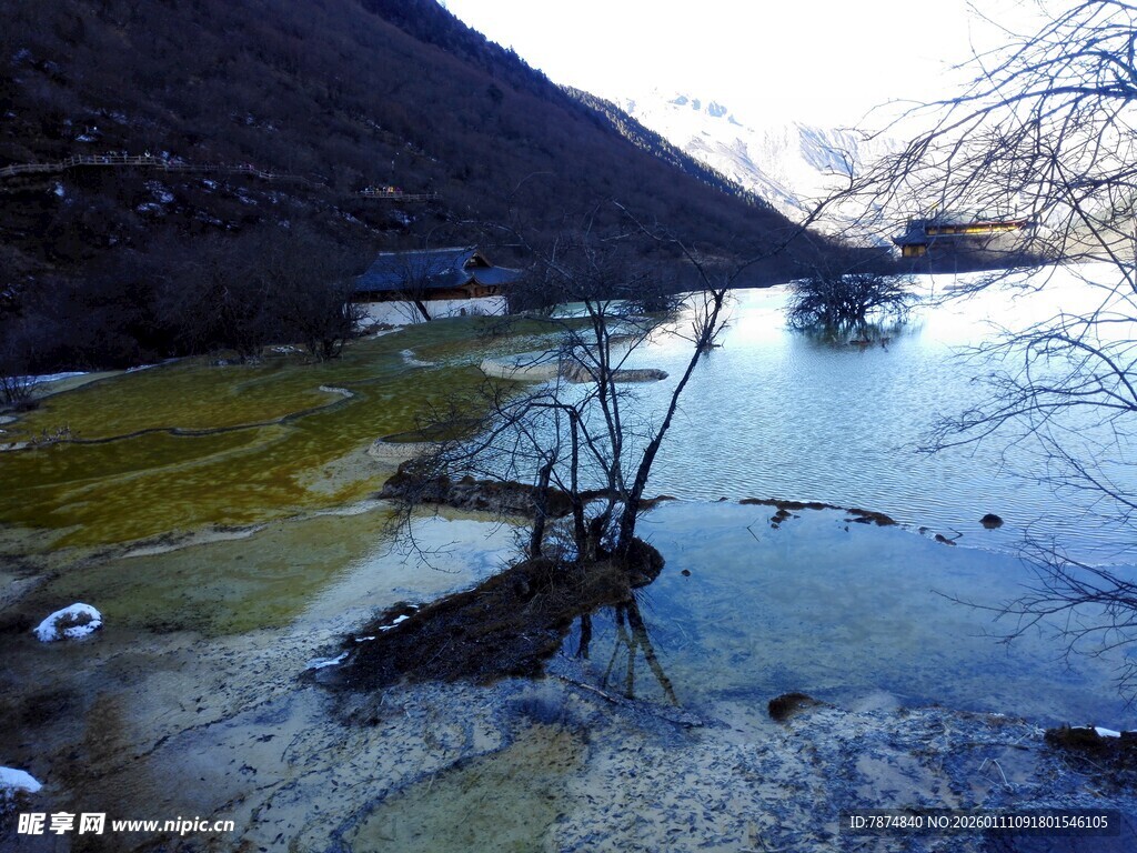 山间清潭 水中枯木景致