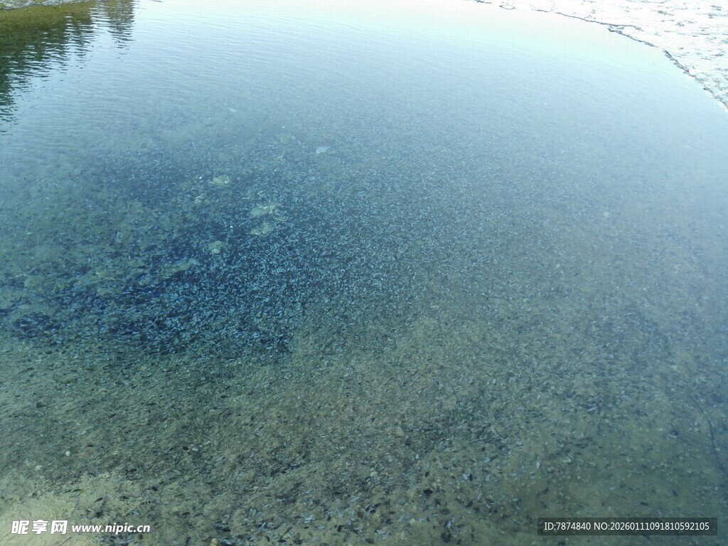 清澈见底的平静水面