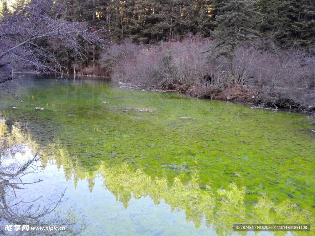 春日河畔绿意倒影美景