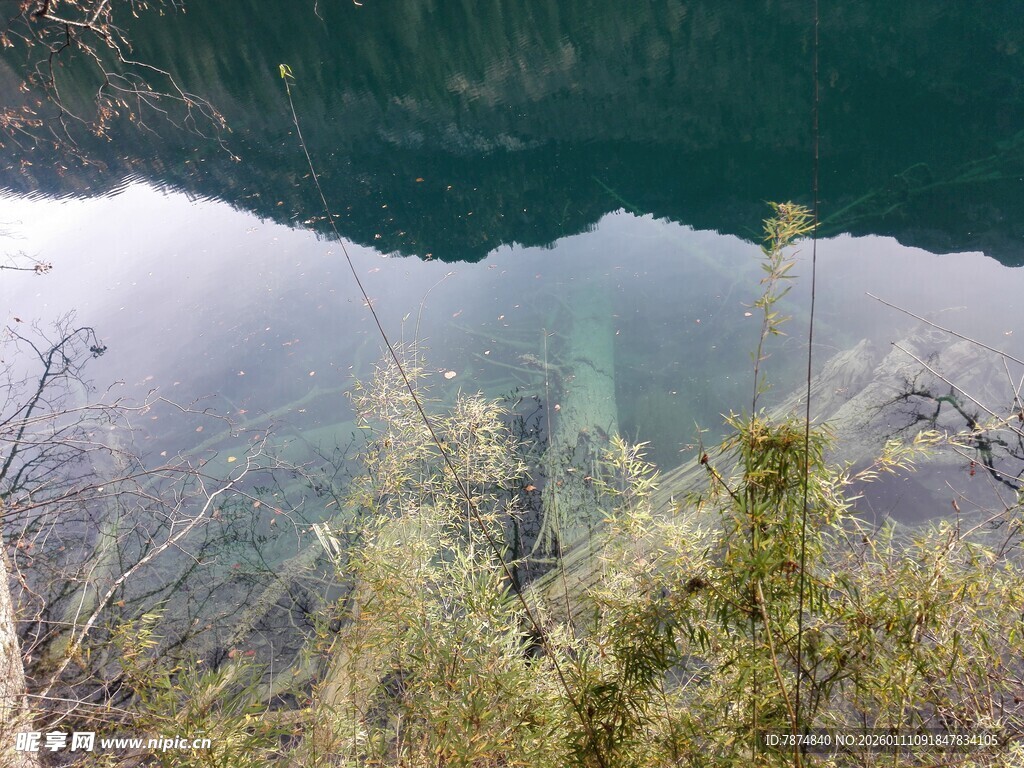 水下植物景观 静谧之美