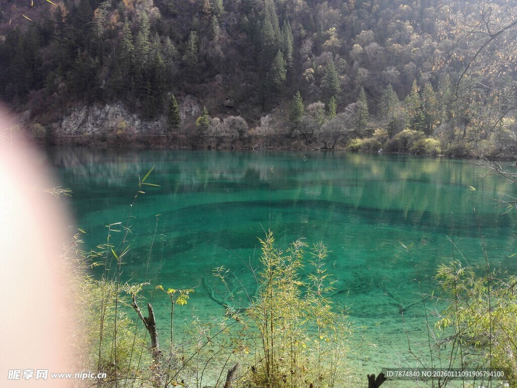 梦幻般的翠绿湖水景观